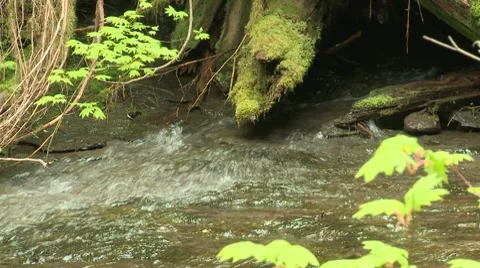 Copper Creek 03 Video stock 7745865