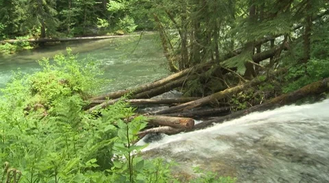 Copper Creek 08 Video stock 7747048