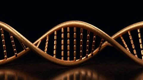 The copper dna on black  background for sci or medical concept 3d rendering. Illustrazione stock