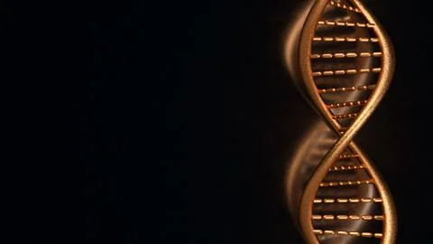 The copper dna on black  background for sci or medical concept 3d rendering. Stock Photos