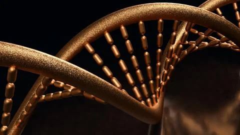The copper dna on black  background for sci or medical concept 3d rendering. Stock Photos