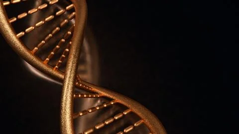 The copper dna on black  background for sci or medical concept 3d rendering. Stock Photos