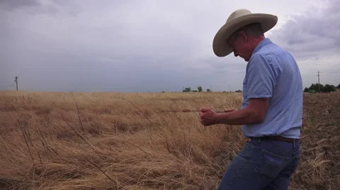 Copper dowsing rods, drought Video stock 50982247