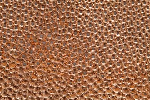 Copper leaf in bronze texture Stock Photos