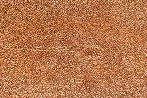Copper leaf in leather Stock Photos