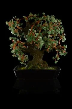 Copper Money Tree Foto stock