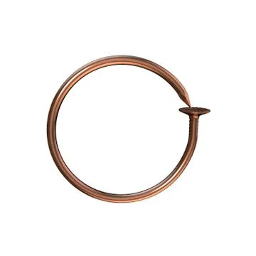 Copper nail. Circle frame. Isolated on white background. 3D rendering illus.. Иллюстрация
