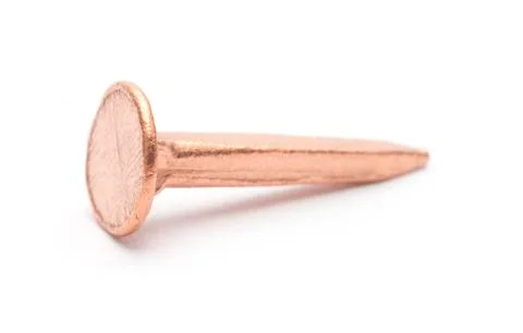 Copper nail Foto stock