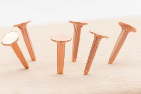Copper nails Stock Photos