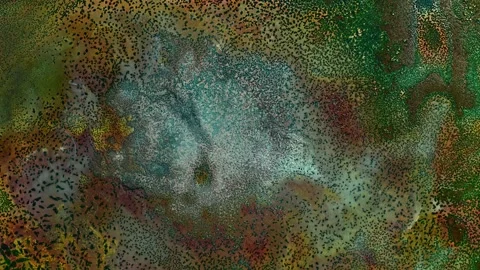 Copper Oxidation Timelapse in 4K 60fps – Crystalline Patina Formation Macro Stock Footage 340467636
