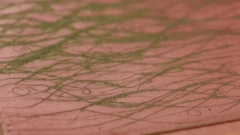 Copper plate oxidation process. Timelapse. Close-up Stock Footage 153748338