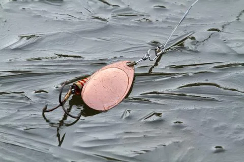 Copper spinner lies on on young thin ice Stock Photos