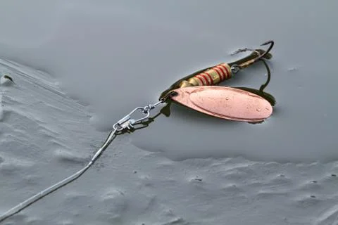 Copper spinner on thin autumn ice Stock Photos