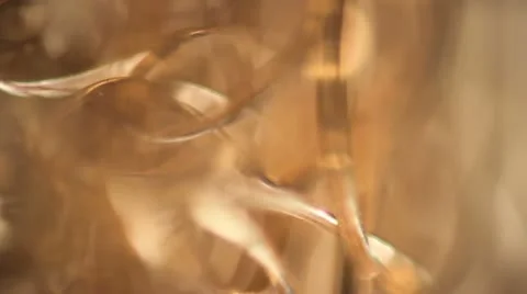 Copper Tangle 動画素材 22450532