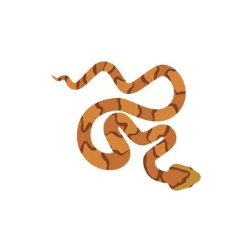 Copperhead snake, top view - flat vector illustration isolated on white Stock Illustration