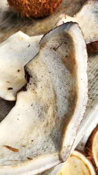 Copra is an export commodity of Southeast Asian countries, such as Indonesia Stock Photos