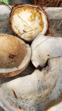 Copra is an export commodity of Southeast Asian countries, such as Indonesia Foto stock