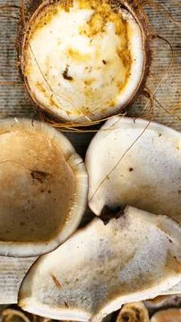 Copra is an export commodity of Southeast Asian countries, such as Indonesia Stock Photos