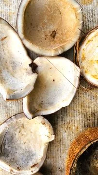 Copra is an export commodity of Southeast Asian countries, such as Indonesia Stock Photos