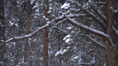 Copter 4k Stock Footage 264833829