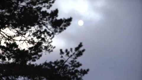 Copter 4k Stock Footage 264833851