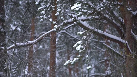 Copter 4k Stock Footage 264833864