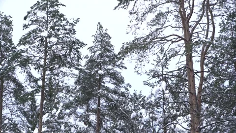 Copter 4k Stock Footage 264834429