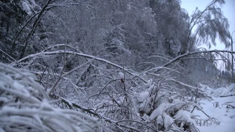 Copter 4k Stock Footage 264834531