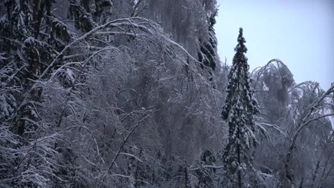 Copter 4k Stock Footage 264834532