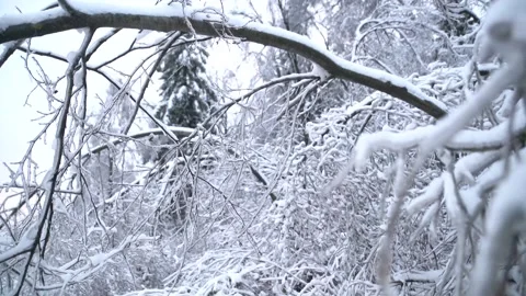 Copter 4k Stock Footage 264834534