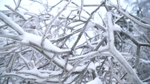 Copter 4k Stock Footage 264834535