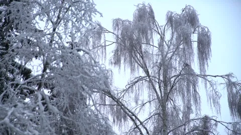 Copter 4k Stock Footage 264834627