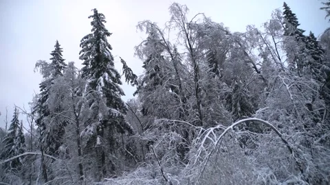 Copter 4k Video stock 264834641