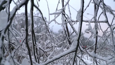 Copter 4k Stock Footage 264834708