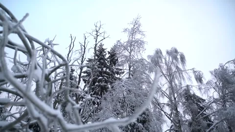 Copter 4k Stock Footage 264834786