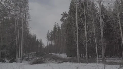 Copter 4k Stock Footage 267979151