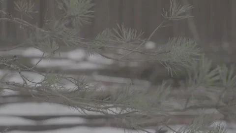 Copter 4k Stock Footage 267979214