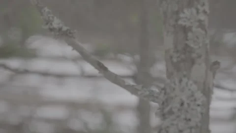 Copter 4k Stock Footage 267979251