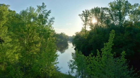 A copter flies between trees to a river on a sunny morning. Stock Footage 119066143