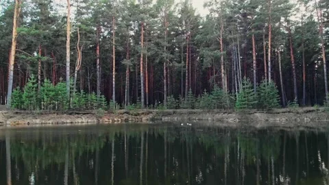 The copter flies low over the water in a park with a lake, flies up to wild Stock Footage 155206437