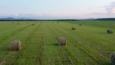 A copter flies over the field after harvesting. Stock Footage 114123510