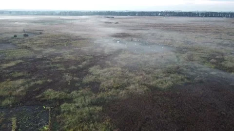 Copter flies over the field. in the evening. smoke from the ground, the haze Stock Footage 141893829