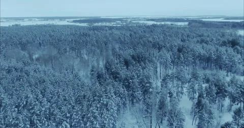 Copter flies over the winter forest, endless expanses. Tops of the trees are Stock-Footage 170436914