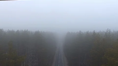  Copter flight between trees in a misty forest above the road. Stock Footage 107741506