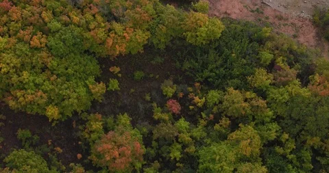 Copter flight over the forest and river Bank Stock Footage 93665069
