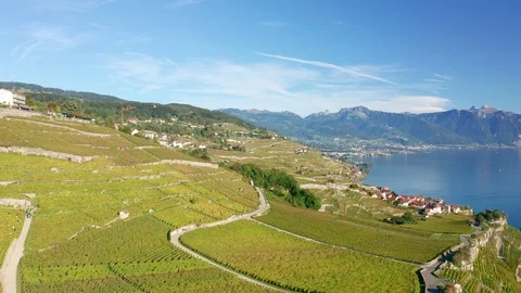 Copter flight through Lavaux vineyars at Lake Geneva shoreline in Switzerland Stock Footage 124250680