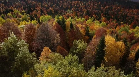 Copter mount 002 Stock Footage 41590118