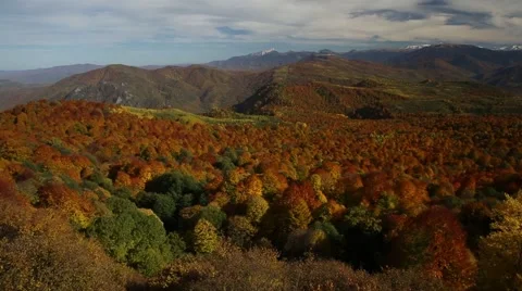 Copter mount 003 Stock Footage 41590114