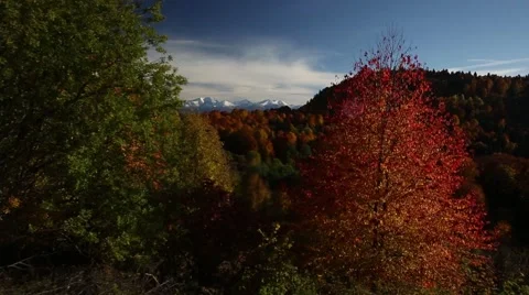 Copter mount 004 Stock Footage 41590116