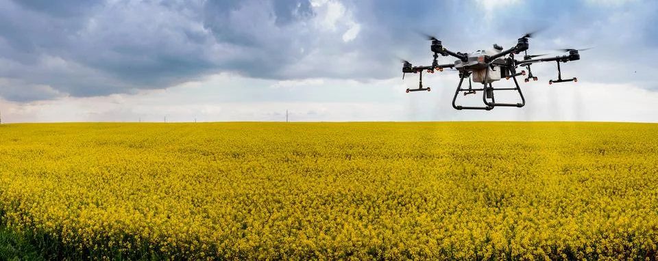 Copter services - Agrodrone for processing fields, smart farming Stock Photos